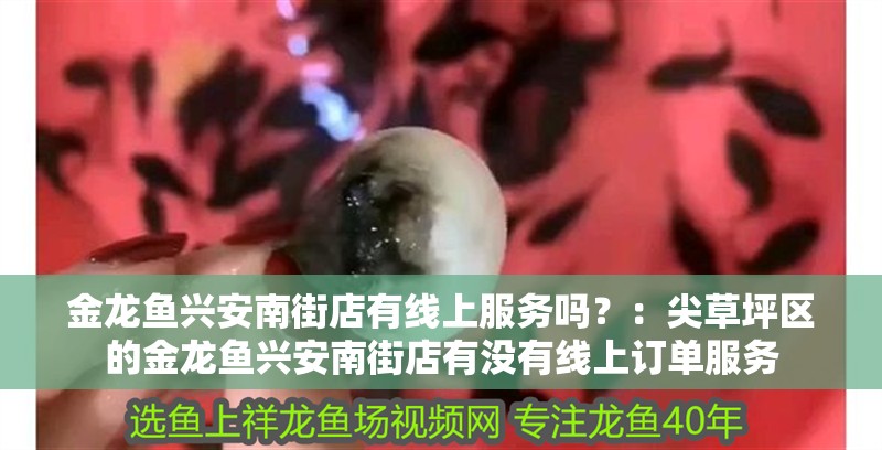 金龍魚興安南街店有線上服務嗎？：尖草坪區的金龍魚興安南街店有沒有線上訂單服務 金龍魚興安南街店有線上服務嗎？：尖草坪區的金龍魚興安南街店有沒有線上訂單服務 龍魚百科