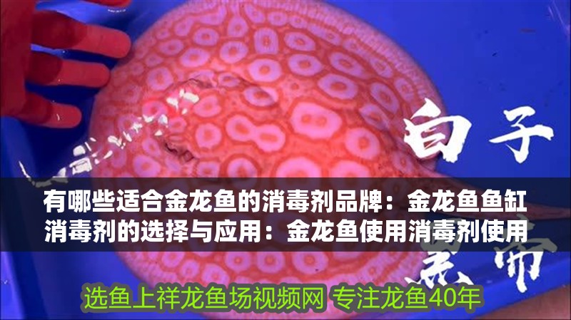 有哪些適合金龍魚的消毒劑品牌：金龍魚魚缸消毒劑的選擇與應用：金龍魚使用消毒劑使用方法及注意事項及注意事項及注意事項