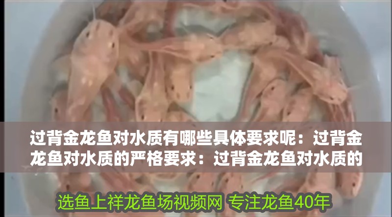 詳細閱讀:過背金龍魚對水質有哪些具體要求呢:過背金龍魚對水質的嚴格要求:過背金龍魚對水質的要求 過背金龍魚對水質有哪些具體要求呢:過背金龍魚對水質的嚴格要求:過背金龍魚對水質的要求