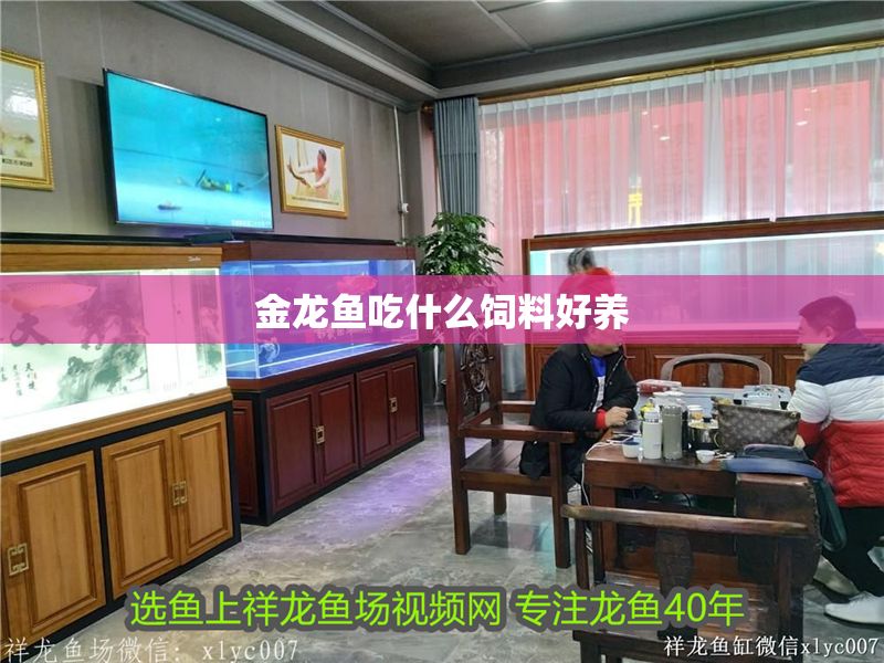 金龍魚吃什么飼料好養