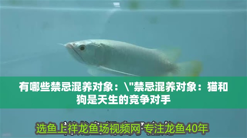 有哪些禁忌混養對象：\