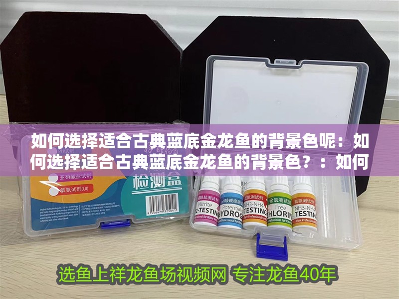 如何選擇適合古典藍(lán)底金龍魚(yú)的背景色呢：如何選擇適合古典藍(lán)底金龍魚(yú)的背景色？：如何為古典藍(lán)底金龍魚(yú)選擇合適的背景色