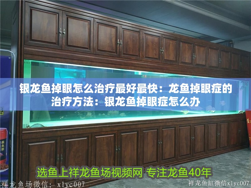 銀龍魚掉眼怎么治療最好最快：龍魚掉眼癥的治療方法：銀龍魚掉眼癥怎么辦 銀龍魚掉眼怎么治療最好最快：龍魚掉眼癥的治療方法：銀龍魚掉眼癥怎么辦 水族問答