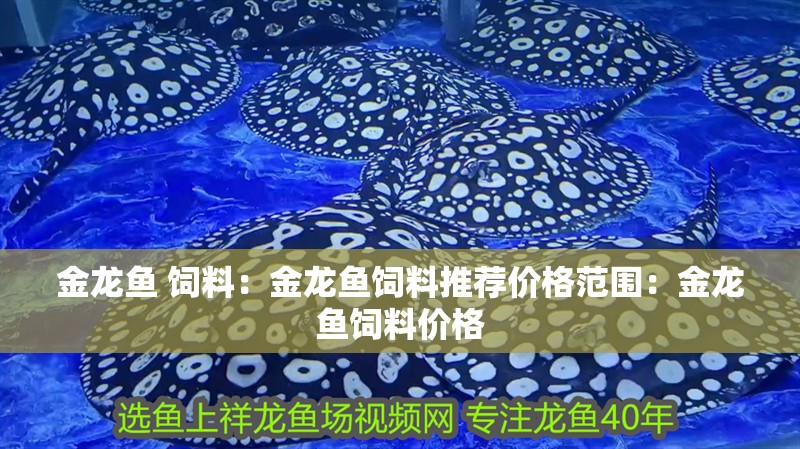 金龍魚 飼料：金龍魚飼料推薦價格范圍：金龍魚飼料價格 金龍魚 飼料：金龍魚飼料推薦價格范圍：金龍魚飼料價格 水族問答