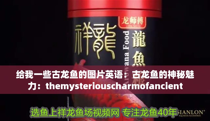 給我一些古龍魚的圖片英語：古龍魚的神秘魅力：themysteriouscharmofancient