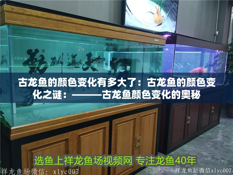 古龍魚(yú)的顏色變化有多大了：古龍魚(yú)的顏色變化之謎：———古龍魚(yú)顏色變化的奧秘