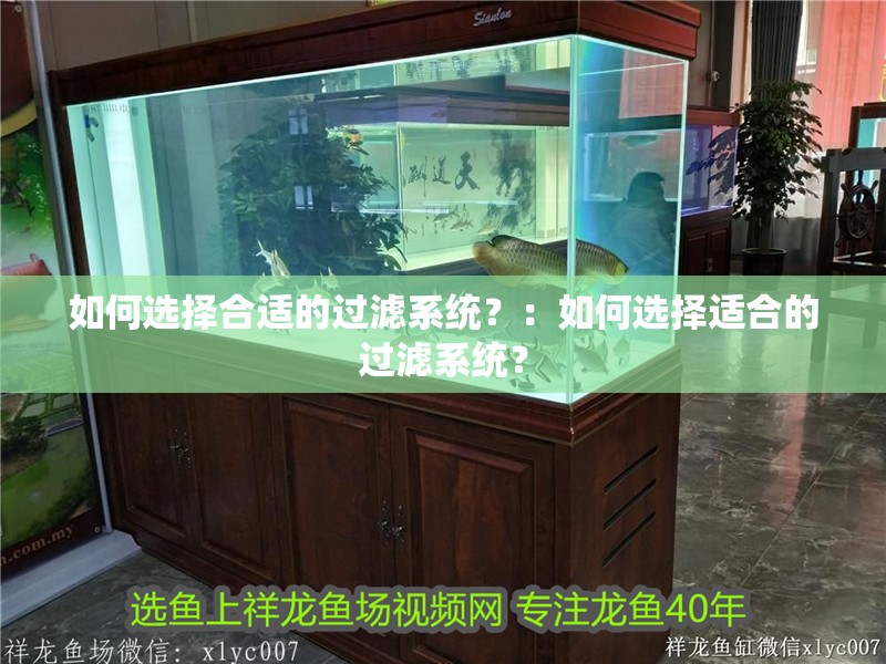 如何選擇合適的過濾系統(tǒng)？：如何選擇適合的過濾系統(tǒng)？