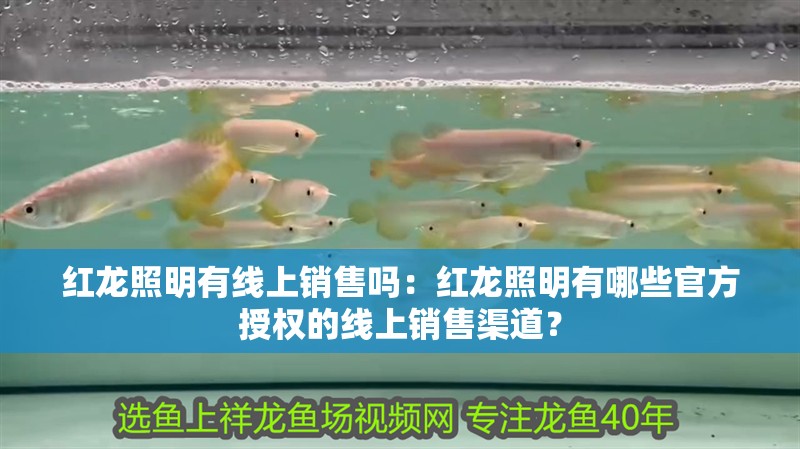 紅龍照明有線上銷售嗎：紅龍照明有哪些官方授權的線上銷售渠道？