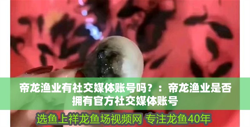 帝龍漁業有社交媒體賬號嗎？：帝龍漁業是否擁有官方社交媒體賬號