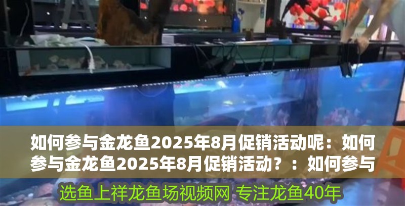 如何參與金龍魚2025年8月促銷活動(dòng)呢：如何參與金龍魚2025年8月促銷活動(dòng)？：如何參與金龍魚2025年8月促銷活動(dòng)