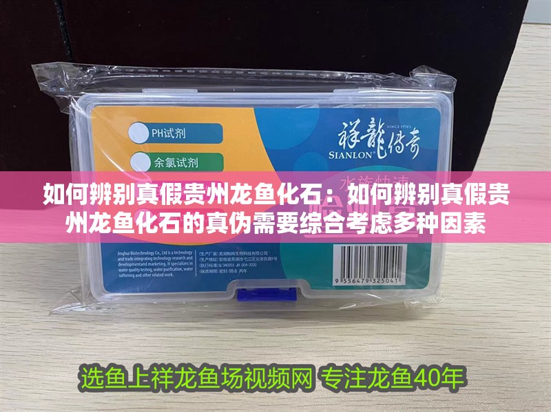 如何辨別真假貴州龍魚化石：如何辨別真假貴州龍魚化石的真偽需要綜合考慮多種因素 如何辨別真假貴州龍魚化石：如何辨別真假貴州龍魚化石的真偽需要綜合考慮多種因素 龍魚百科