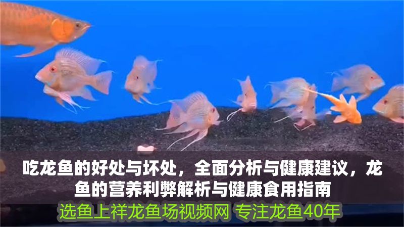 吃龍魚(yú)的好處與壞處，全面分析與健康建議，龍魚(yú)的營(yíng)養(yǎng)利弊解析與健康食用指南
