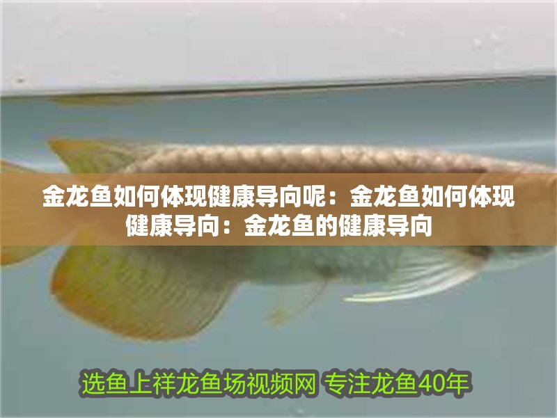 金龍魚如何體現健康導向呢：金龍魚如何體現健康導向：金龍魚的健康導向