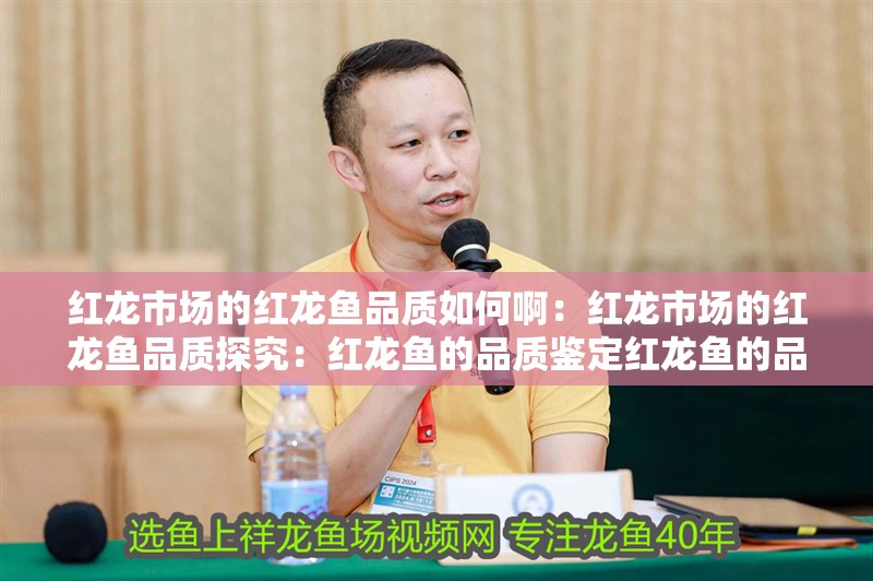 紅龍市場的紅龍魚品質如何啊：紅龍市場的紅龍魚品質探究：紅龍魚的品質鑒定紅龍魚的品質，紅龍魚的品質與特征