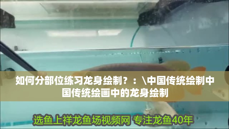 如何分部位練習(xí)龍身繪制？：\中國傳統(tǒng)繪制中國傳統(tǒng)繪畫中的龍身繪制