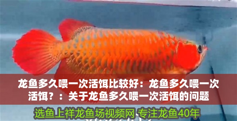龍魚多久喂一次活餌比較好：龍魚多久喂一次活餌？：關于龍魚多久喂一次活餌的問題