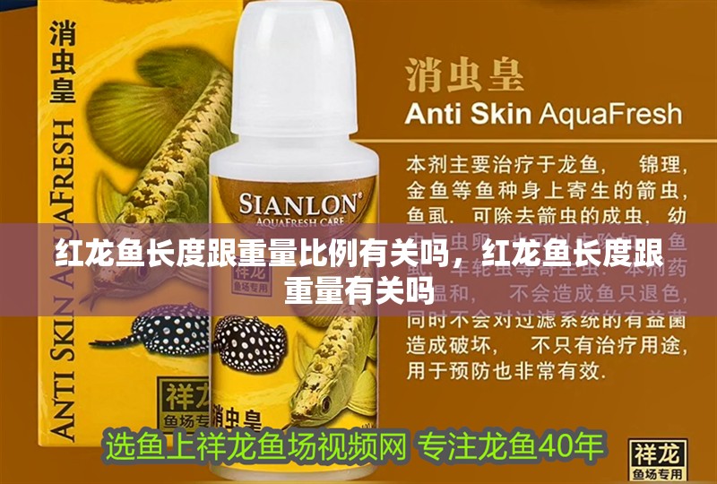 紅龍魚長(zhǎng)度跟重量比例有關(guān)嗎，紅龍魚長(zhǎng)度跟重量有關(guān)嗎