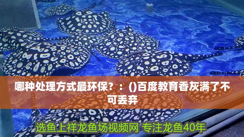 哪種處理方式最環(huán)保？：()百度教育香灰滿了不可丟棄 哪種處理方式最環(huán)保？：()百度教育香灰滿了不可丟棄 龍魚百科