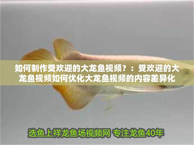 如何制作受歡迎的大龍魚視頻？：受歡迎的大龍魚視頻如何優化大龍魚視頻的內容差異化