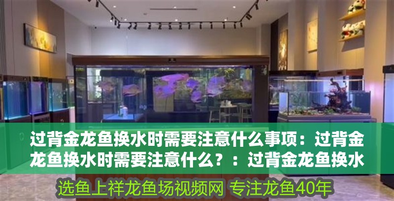 過背金龍魚換水時需要注意什么事項：過背金龍魚換水時需要注意什么？：過背金龍魚換水時需要注意什么？