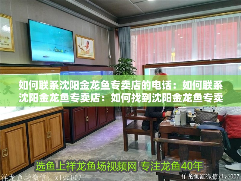 如何聯系沈陽金龍魚專賣店的電話：如何聯系沈陽金龍魚專賣店：如何找到沈陽金龍魚專賣店