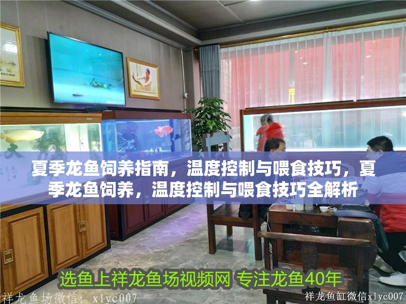 夏季龍魚飼養指南，溫度控制與喂食技巧，夏季龍魚飼養，溫度控制與喂食技巧全解析 夏季龍魚飼養指南，溫度控制與喂食技巧，夏季龍魚飼養，溫度控制與喂食技巧全解析 龍魚百科 第1張