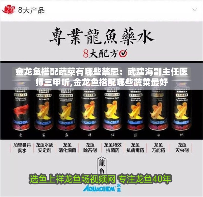 金龍魚搭配蔬菜有哪些禁忌：武建海副主任醫師三甲聽,金龍魚搭配哪些蔬菜最好