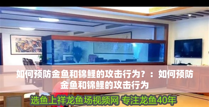 如何預防金魚和錦鯉的攻擊行為？：如何預防金魚和錦鯉的攻擊行為