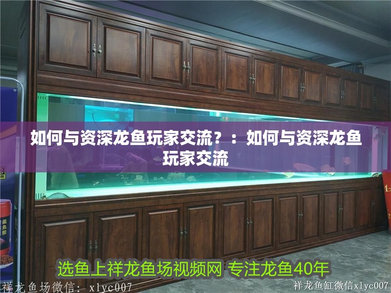 如何與資深龍魚玩家交流？：如何與資深龍魚玩家交流