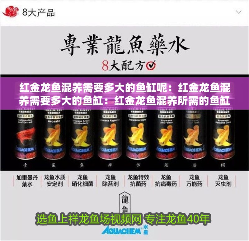 紅金龍魚混養需要多大的魚缸呢：紅金龍魚混養需要多大的魚缸：紅金龍魚混養所需的魚缸大小