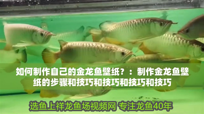 如何制作自己的金龍魚壁紙？：制作金龍魚壁紙的步驟和技巧和技巧和技巧和技巧