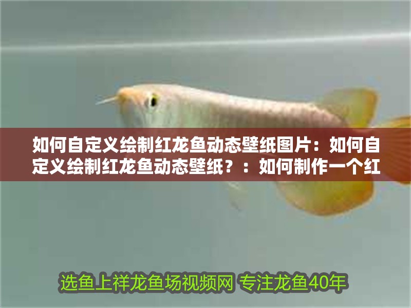 如何自定義繪制紅龍魚動態壁紙圖片：如何自定義繪制紅龍魚動態壁紙？：如何制作一個紅龍魚動態壁紙