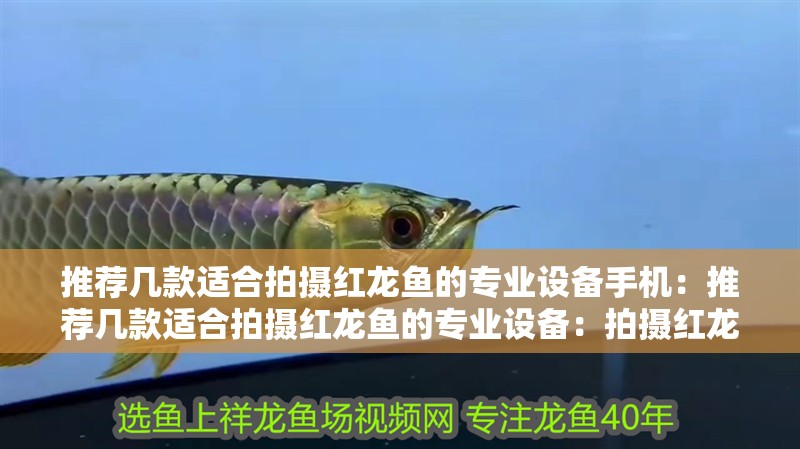 推薦幾款適合拍攝紅龍魚的專業(yè)設(shè)備手機：推薦幾款適合拍攝紅龍魚的專業(yè)設(shè)備：拍攝紅龍魚的專業(yè)設(shè)備推薦