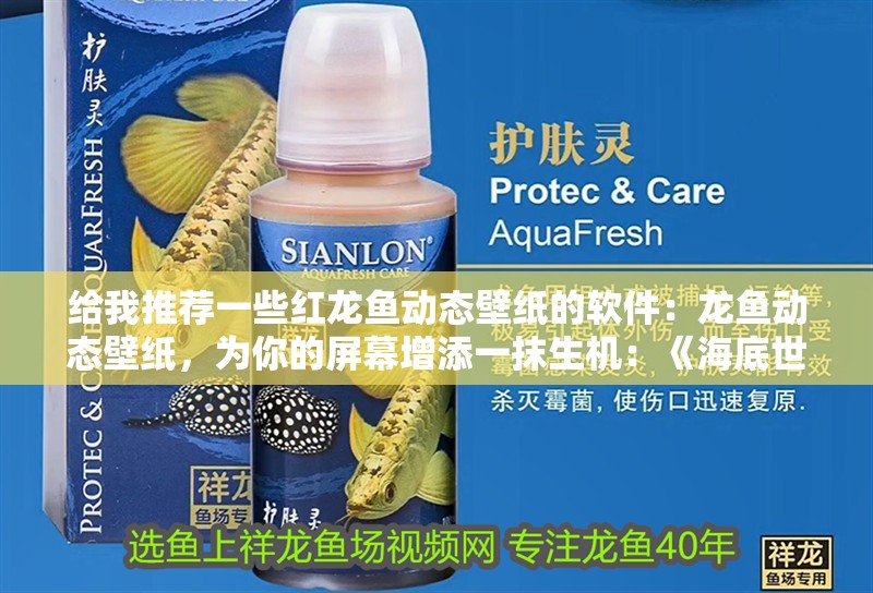 給我推薦一些紅龍魚動態(tài)壁紙的軟件：龍魚動態(tài)壁紙，為你的屏幕增添一抹生機：《海底世界》紅龍魚動態(tài)壁紙的特點和《海底世界》