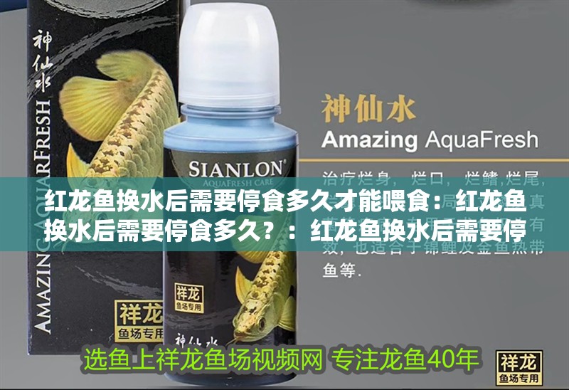 紅龍魚換水后需要停食多久才能喂食：紅龍魚換水后需要停食多久？：紅龍魚換水后需要停食多久才能喂食