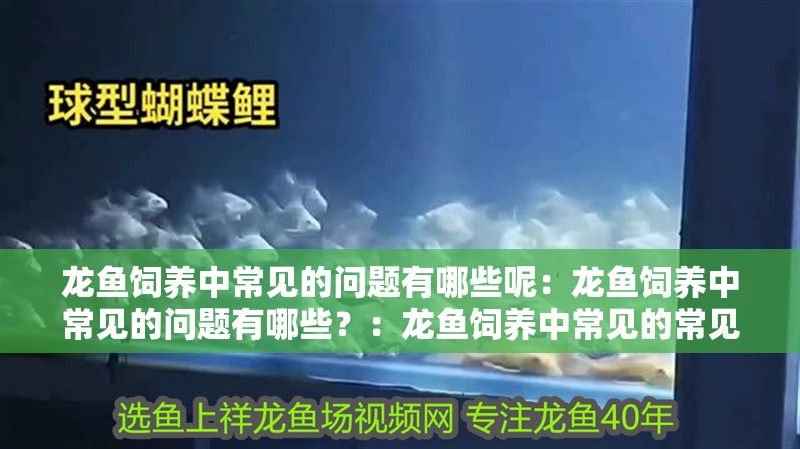 龍魚飼養中常見的問題有哪些呢：龍魚飼養中常見的問題有哪些？：龍魚飼養中常見的常見問題及其解決方法及其解決方案