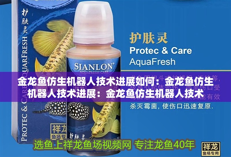 金龍魚仿生機(jī)器人技術(shù)進(jìn)展如何：金龍魚仿生機(jī)器人技術(shù)進(jìn)展：金龍魚仿生機(jī)器人技術(shù)