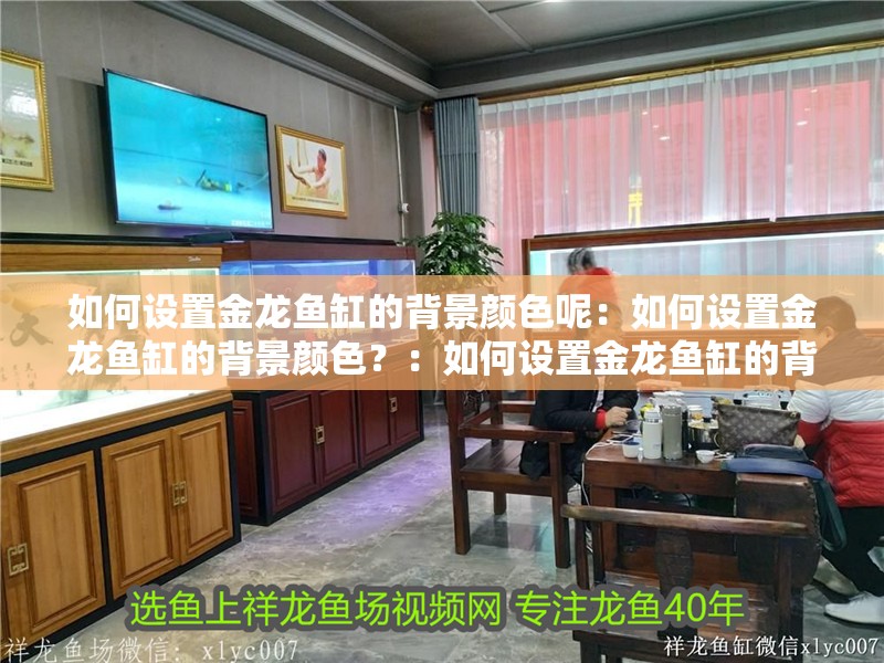 如何設置金龍魚缸的背景顏色呢：如何設置金龍魚缸的背景顏色？：如何設置金龍魚缸的背景顏色