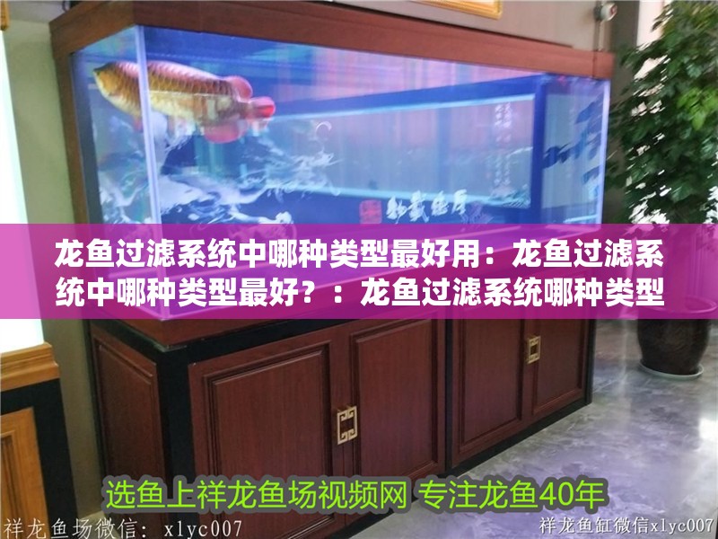 龍魚過濾系統中哪種類型最好用：龍魚過濾系統中哪種類型最好？：龍魚過濾系統哪種類型的龍魚過濾系統是最好的龍魚養殖
