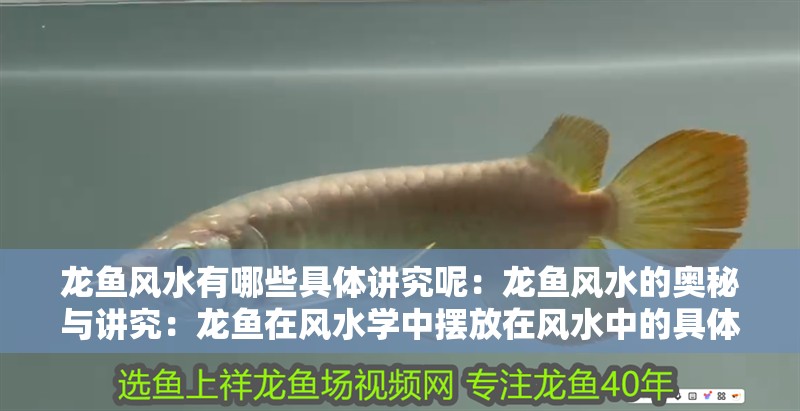 龍魚風(fēng)水有哪些具體講究呢：龍魚風(fēng)水的奧秘與講究：龍魚在風(fēng)水學(xué)中擺放在風(fēng)水中的具體講究龍魚的養(yǎng)護(hù)方法