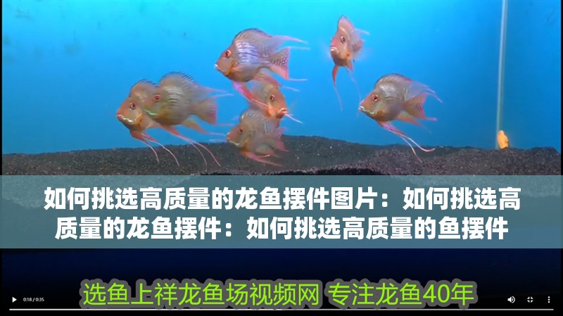 如何挑選高質量的龍魚擺件圖片：如何挑選高質量的龍魚擺件：如何挑選高質量的魚擺件
