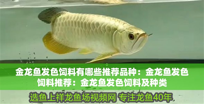 金龍魚發色飼料有哪些推薦品種：金龍魚發色飼料推薦：金龍魚發色飼料及種類
