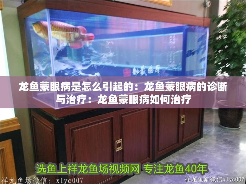龍魚蒙眼病是怎么引起的：龍魚蒙眼病的診斷與治療：龍魚蒙眼病如何治療