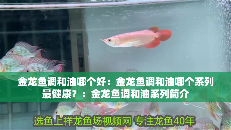 金龍魚調和油哪個好：金龍魚調和油哪個系列最健康？：金龍魚調和油系列簡介
