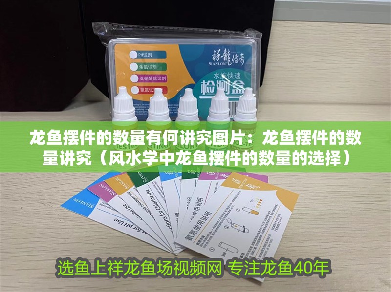 龍魚擺件的數(shù)量有何講究圖片：龍魚擺件的數(shù)量講究（風(fēng)水學(xué)中龍魚擺件的數(shù)量的選擇）