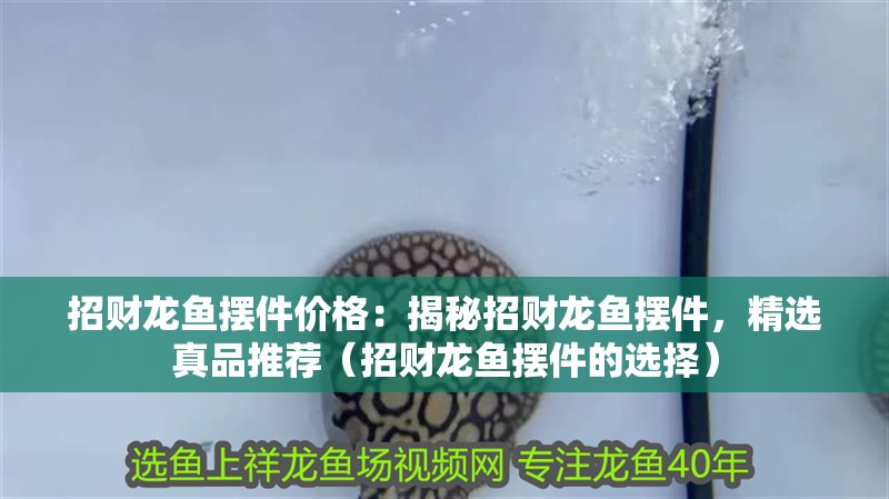招財龍魚擺件價格：揭秘招財龍魚擺件，精選真品推薦（招財龍魚擺件的選擇）