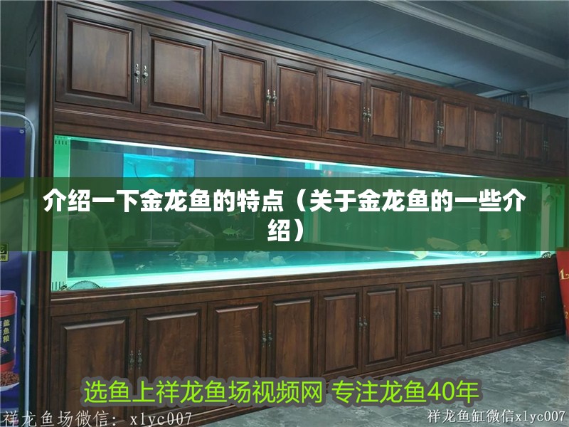 給大魚缸換水的作文:體驗(yàn)給大魚缸換水的樂趣:體驗(yàn)給大魚缸換水:給大魚缸換水的作文 介紹一下金龍魚的特點(diǎn)(關(guān)于金龍魚的一些介紹) 龍魚百科 介紹一下金龍魚的特點(diǎn)(關(guān)于金龍魚的一些介紹) 介紹一下金龍魚的特點(diǎn)(關(guān)于金龍魚的一些介紹) 龍魚百科