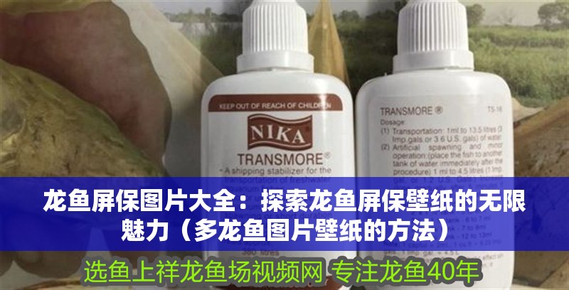 龍魚(yú)屏保圖片大全：探索龍魚(yú)屏保壁紙的無(wú)限魅力（多龍魚(yú)圖片壁紙的方法）