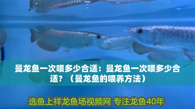 曼龍魚一次喂多少合適：曼龍魚一次喂多少合適？（曼龍魚的喂養方法）