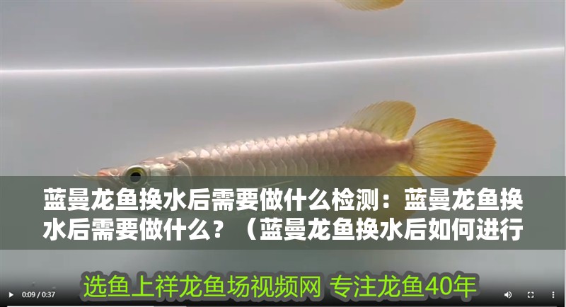 藍(lán)曼龍魚換水后需要做什么檢測(cè)：藍(lán)曼龍魚換水后需要做什么？（藍(lán)曼龍魚換水后如何進(jìn)行檢測(cè)）